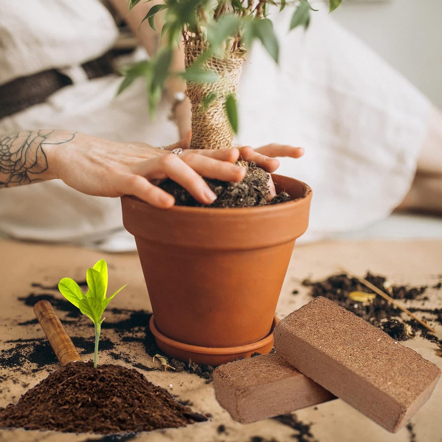 Stop Killing Your Plants With Bad Soil.